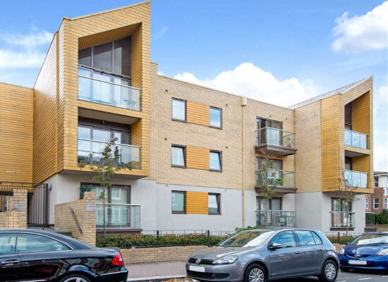 Andrew Craige Curtis